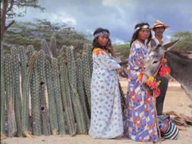 Ampliarán los trabajos de reforestación en Bahía Portete