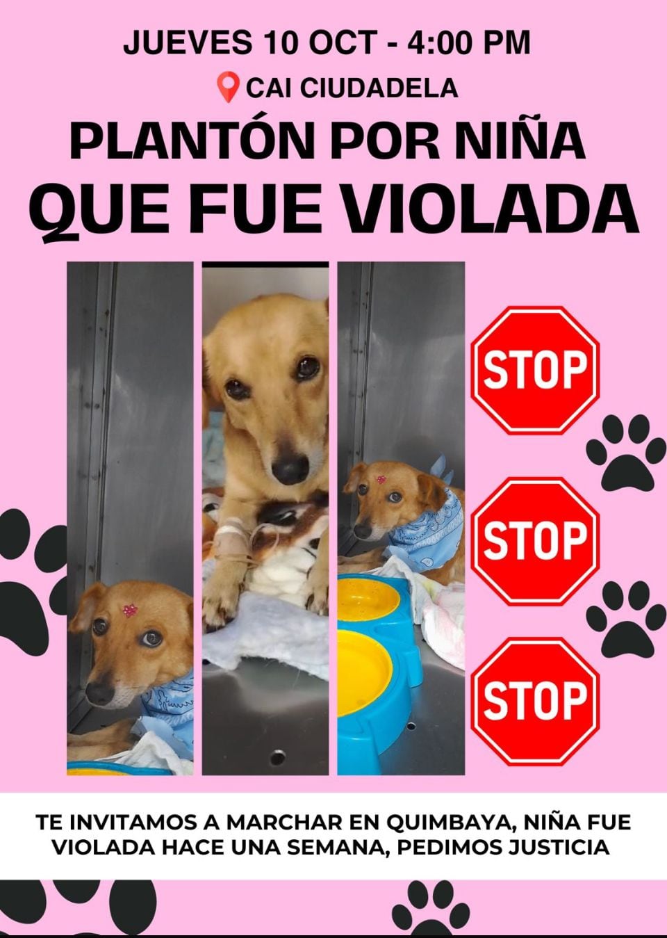 Plantón en Quimbaya, Quindío contra el maltrato animal. Foto. Cortesía ciudadanos