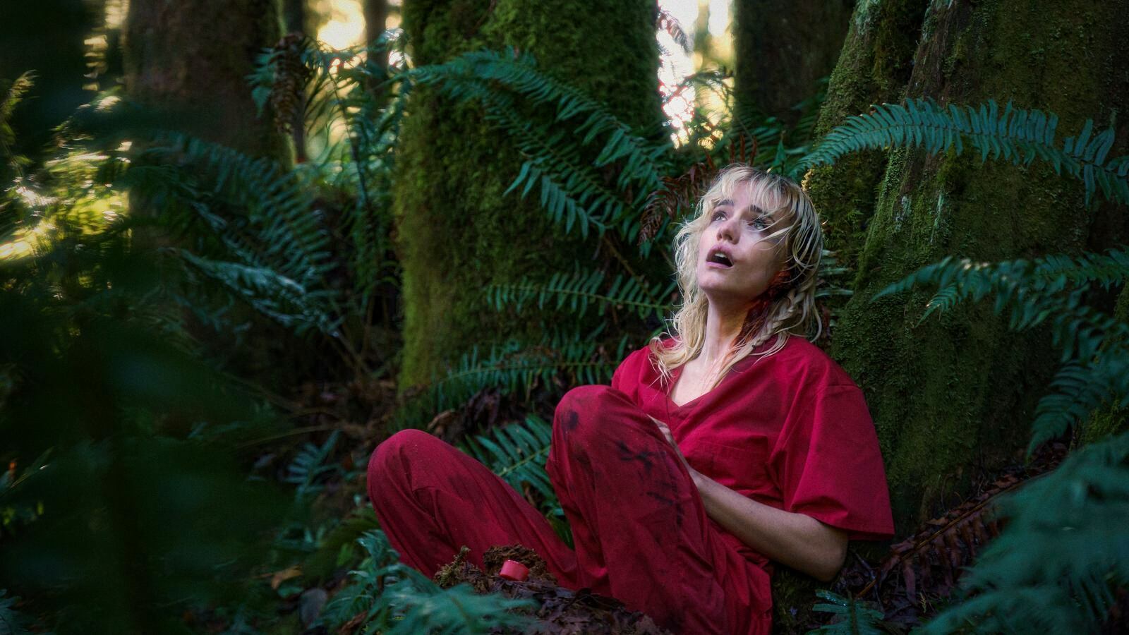 Cortesía: Cine Colombia