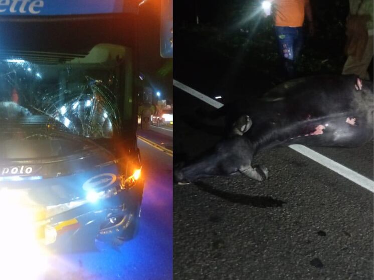 Fotografías del medio de comunicación local Dorada Informativa