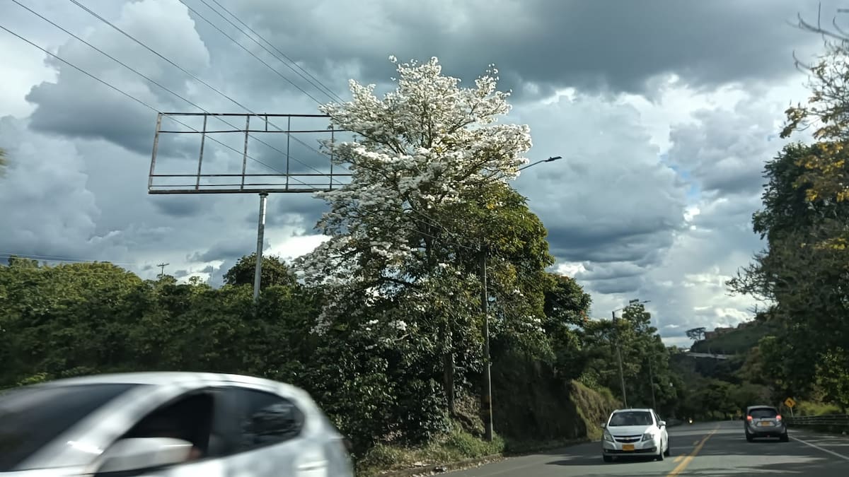 Martes 2 de junio, las noticias más importantes de Armenia y Quindío