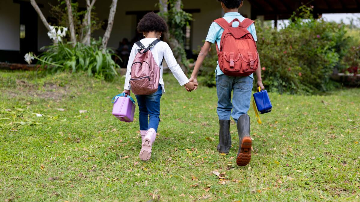 Colegios públicos de Medellín, Cundinamarca y más saldrán a vacaciones: fechas de MinEducación