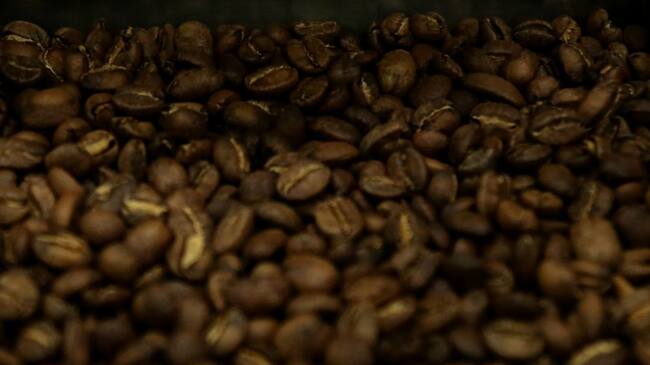 Granos de café