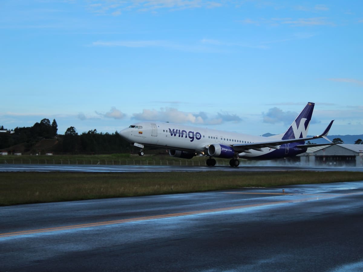Wingo abre nueva ruta de Bogotá a República Dominicana: conozca la fecha y el precio de los vuelos