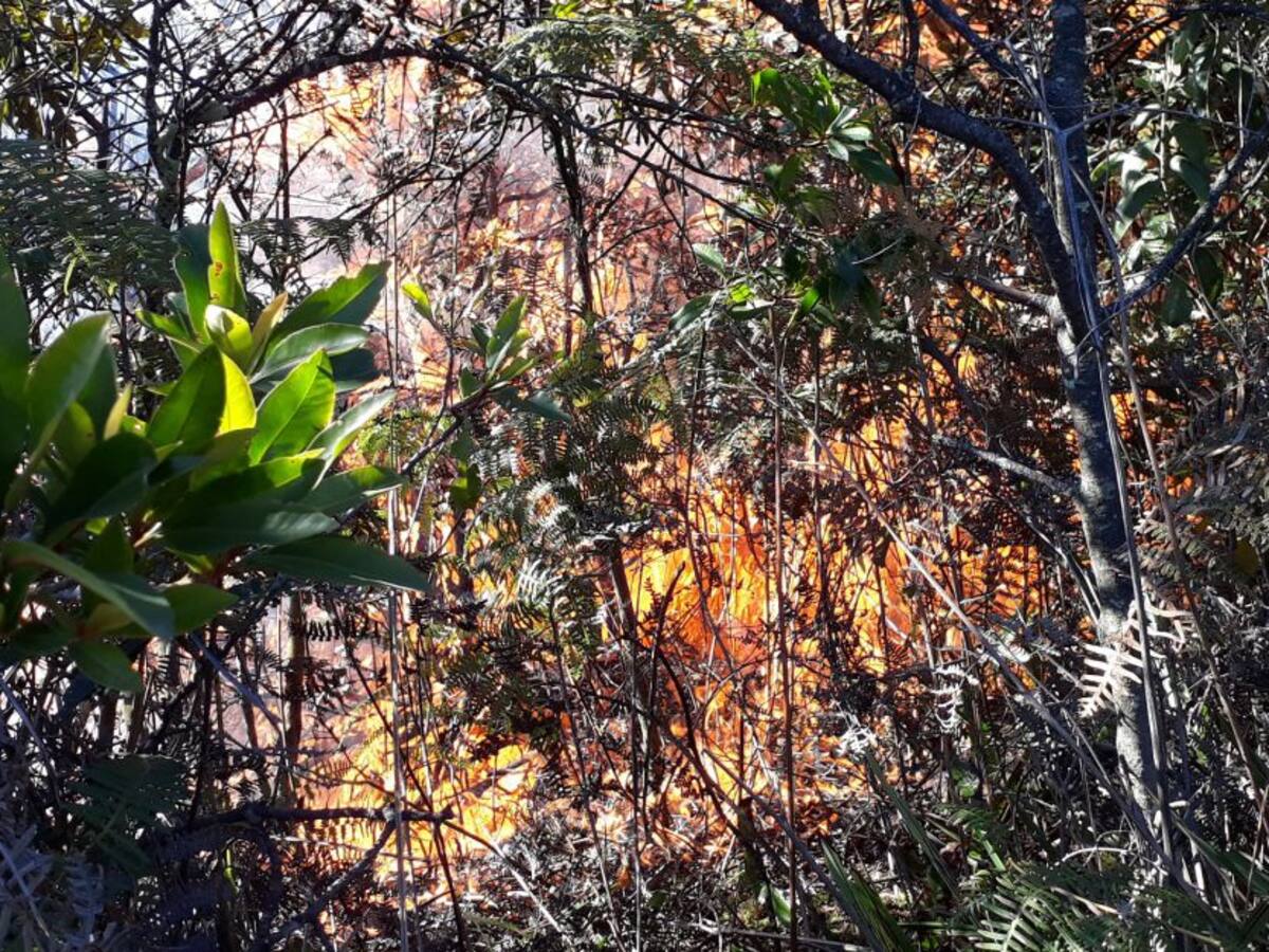 Boyacá tiene alerta por incendios, deslizamientos y heladas