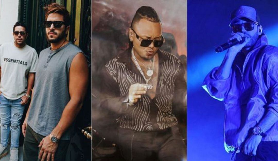 Mr. Black, Dálmata y Cali y el Dandee,