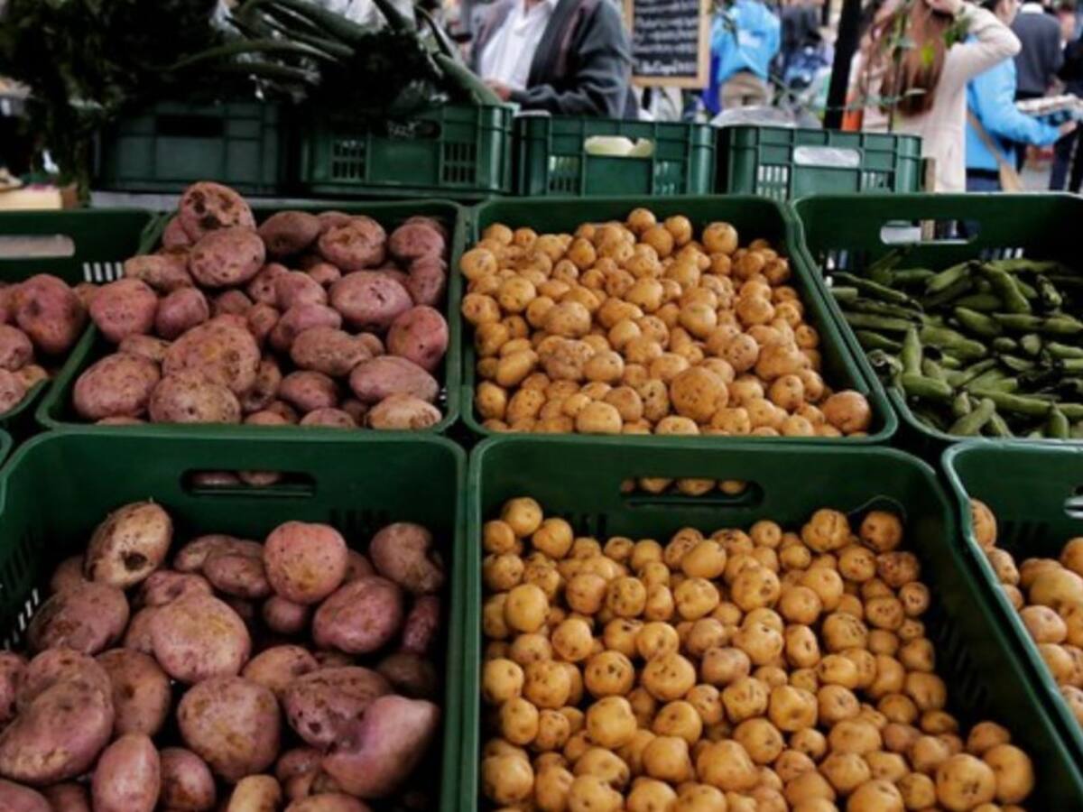 "Ponerle IVA a la nutrición de los colombianos sería gravísimo"