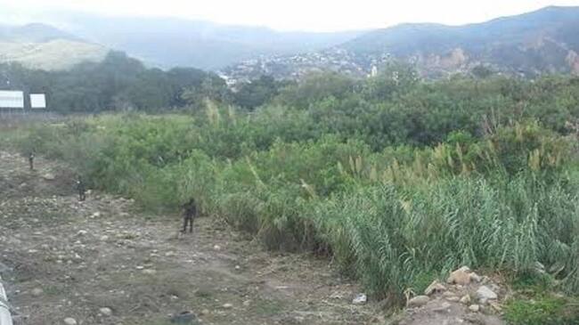 Zona de frontera con Venezuela.