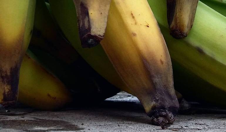 Se estima que el producto se puede empezar a escasear.