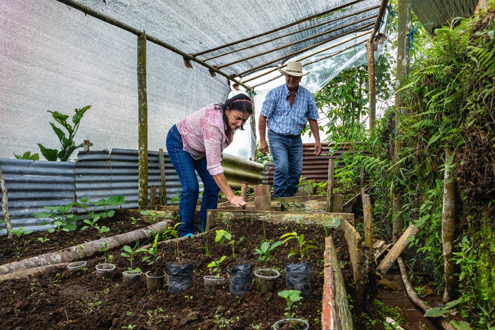 Atención a víctimas del conflicto armado en Antioquia. Foto: Prosperidad Social.