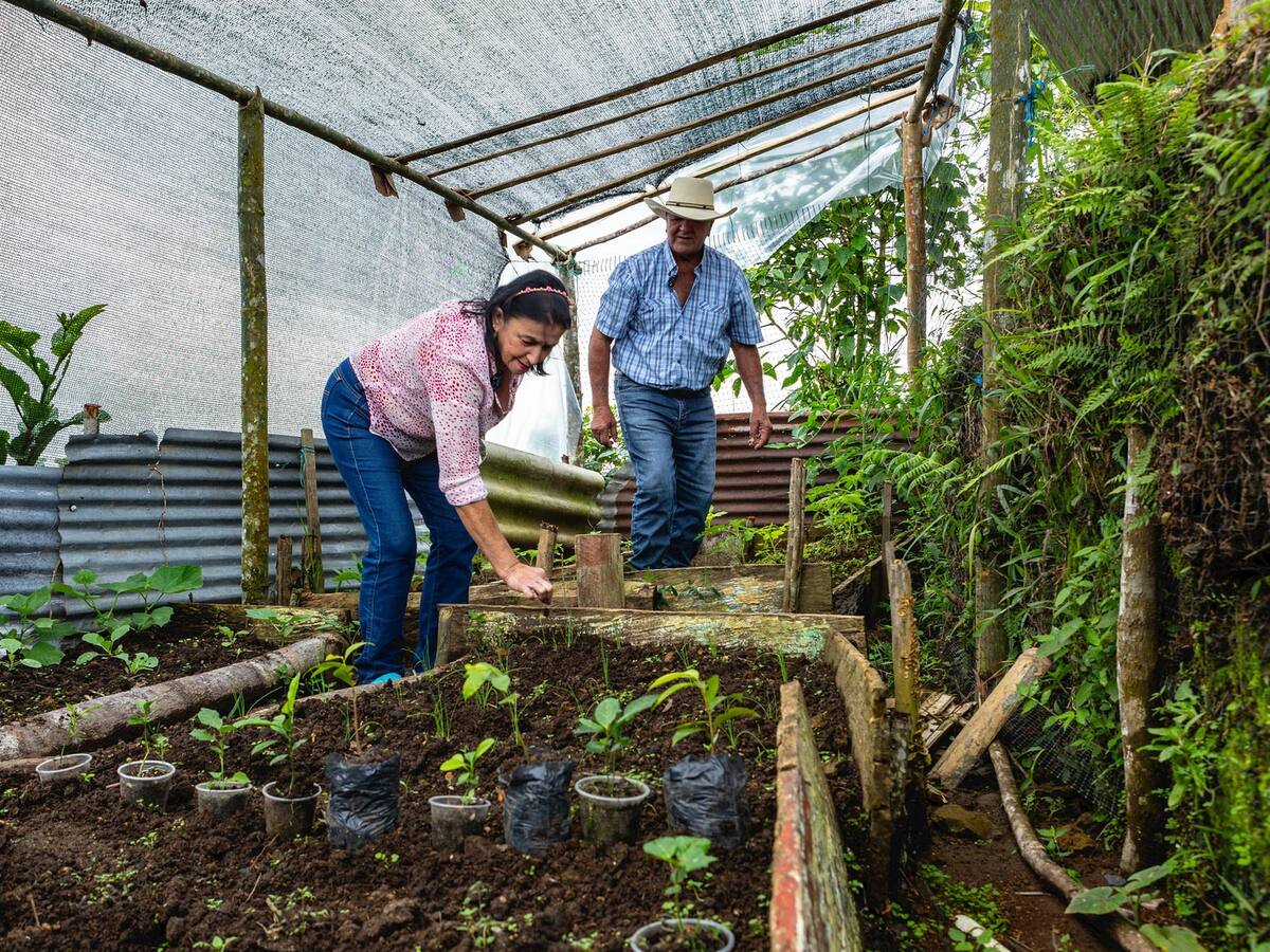 Prosperidad Social atendió a más de 329 mil víctimas del conflicto armado en Antioquia durante 2024