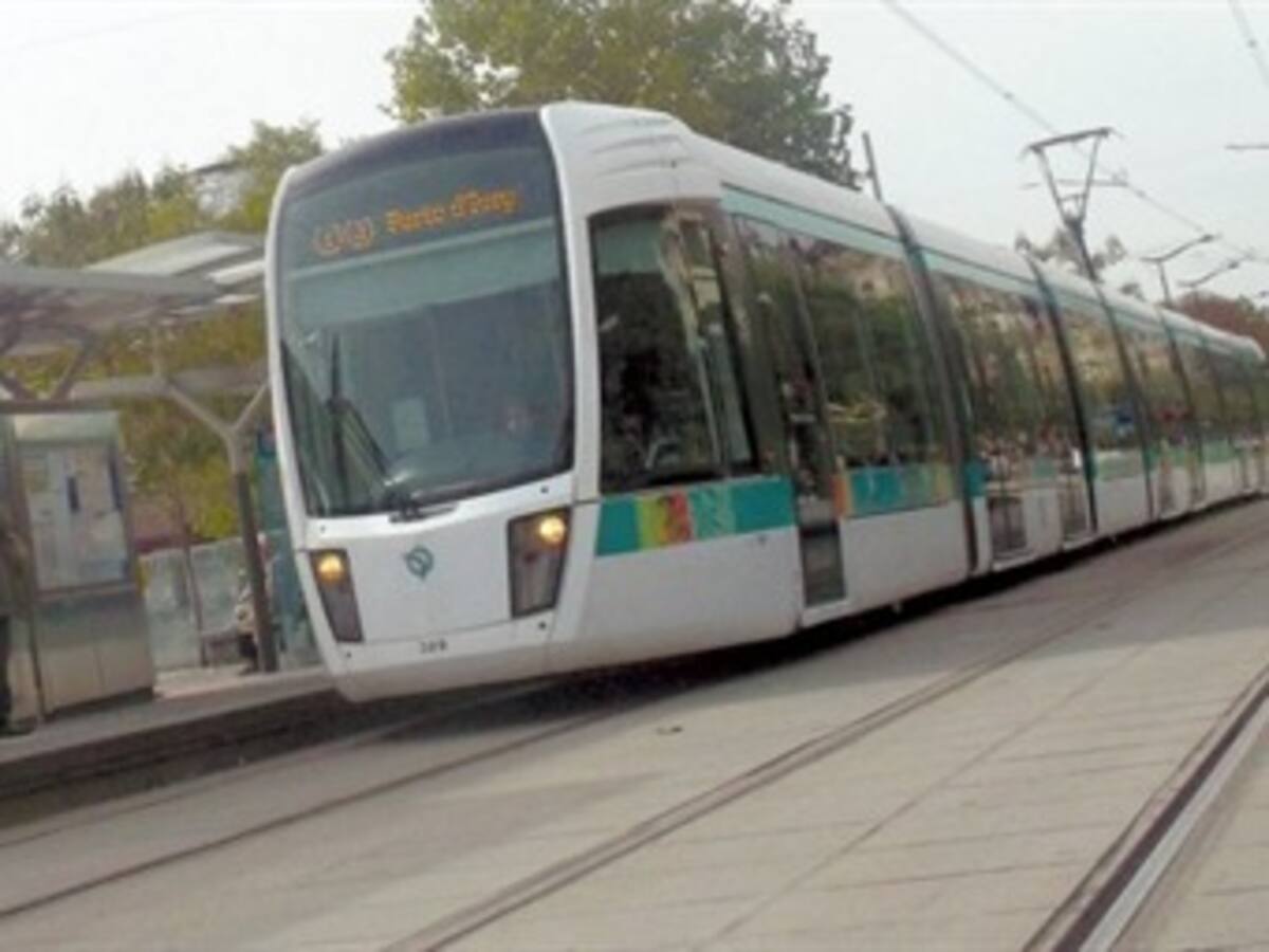 Blindar el proceso del tranvía pide concejal Angélica Lozano