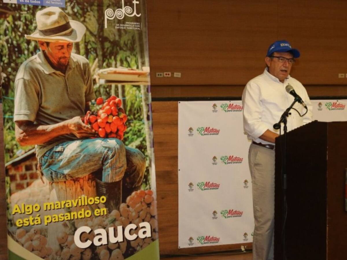 Recursos serán destinados para el programa de sustitución en el Cauca