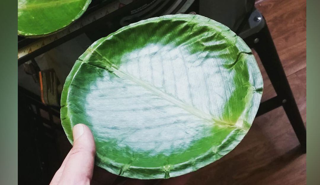 Plato hecho con hojas de árboles