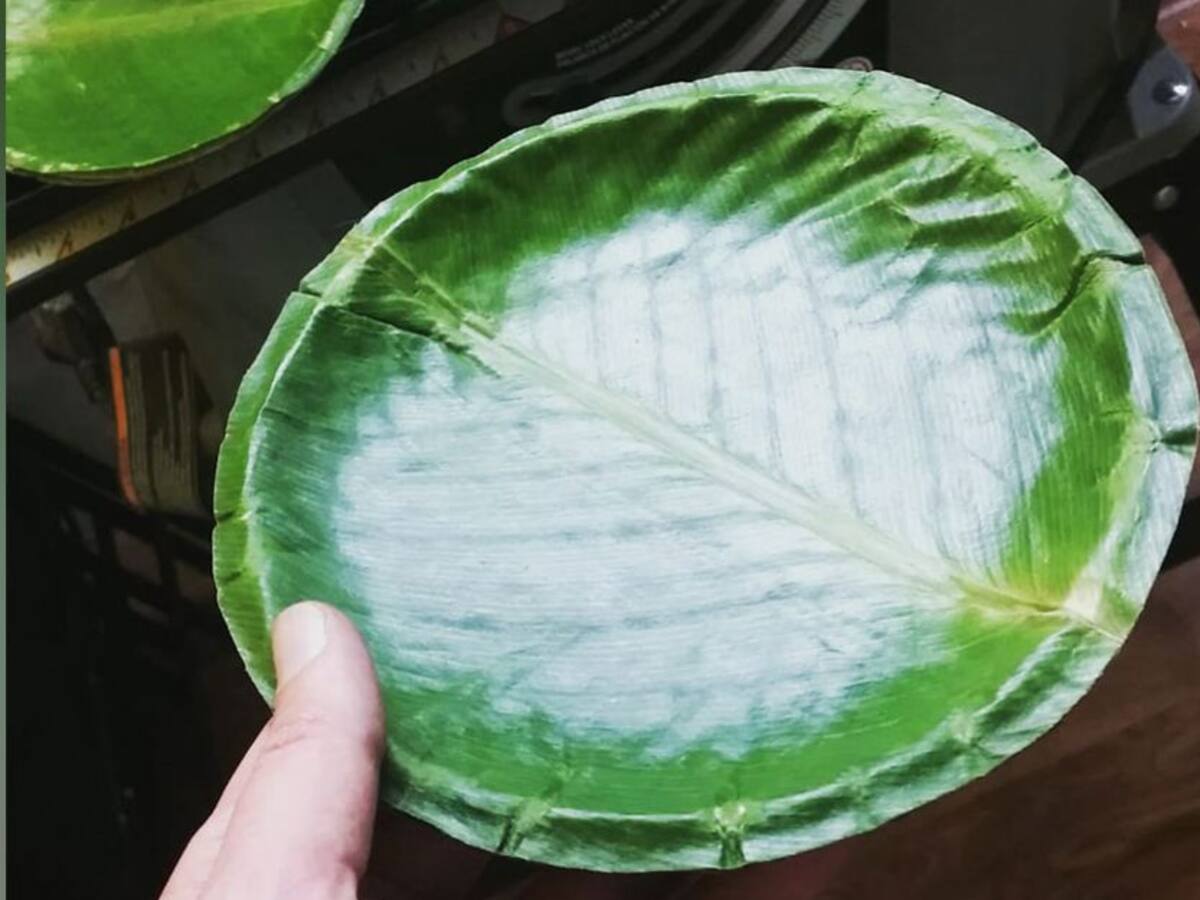 Platos y vasos biodegradables hechos con hojas de árboles