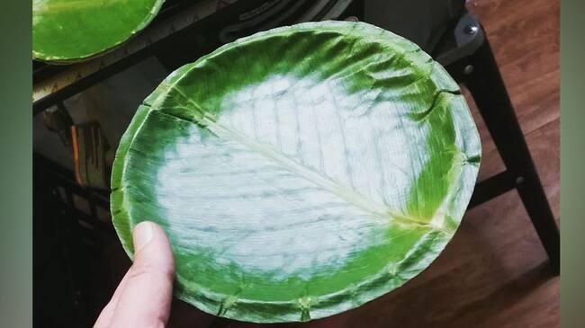 Plato hecho con hojas de árboles