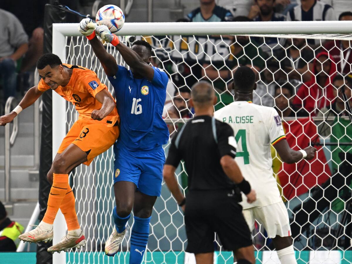 Países Bajos venció a una combativa Senegal, tras un grosero error de Mendy