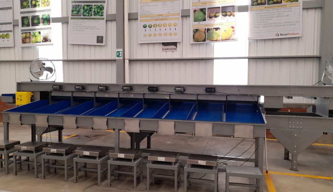 Planta empacadora de fruta de exportación en Caldas