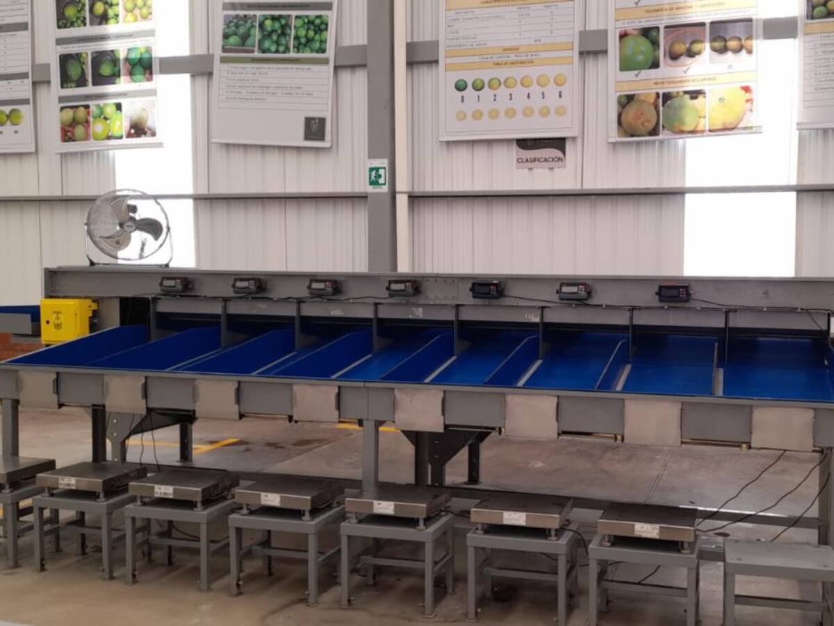 Packing Parnaso, una gran oportunidad de empleo y desarrollo para Caldas