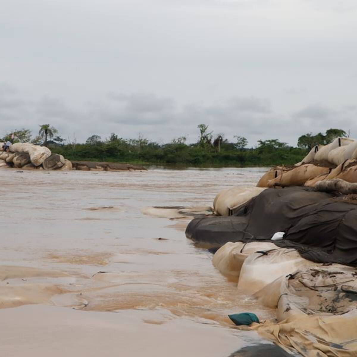 “La gente de La Mojana pide una canalización del río Cauca”: ganadero