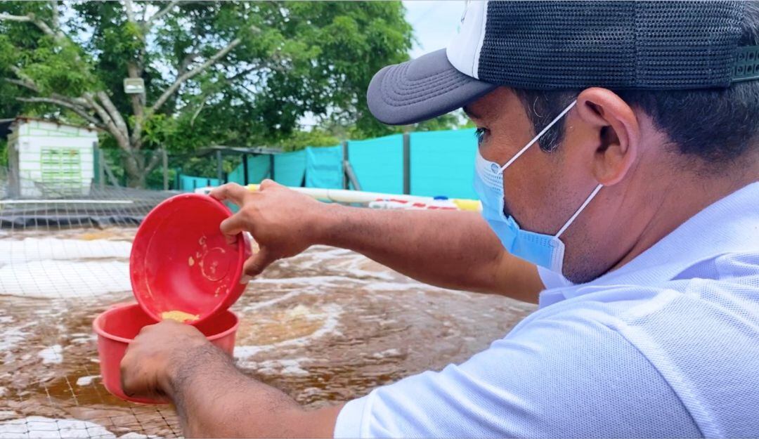Víctimas de violencia cuentan con proyecto piscícola en los Montes de María
