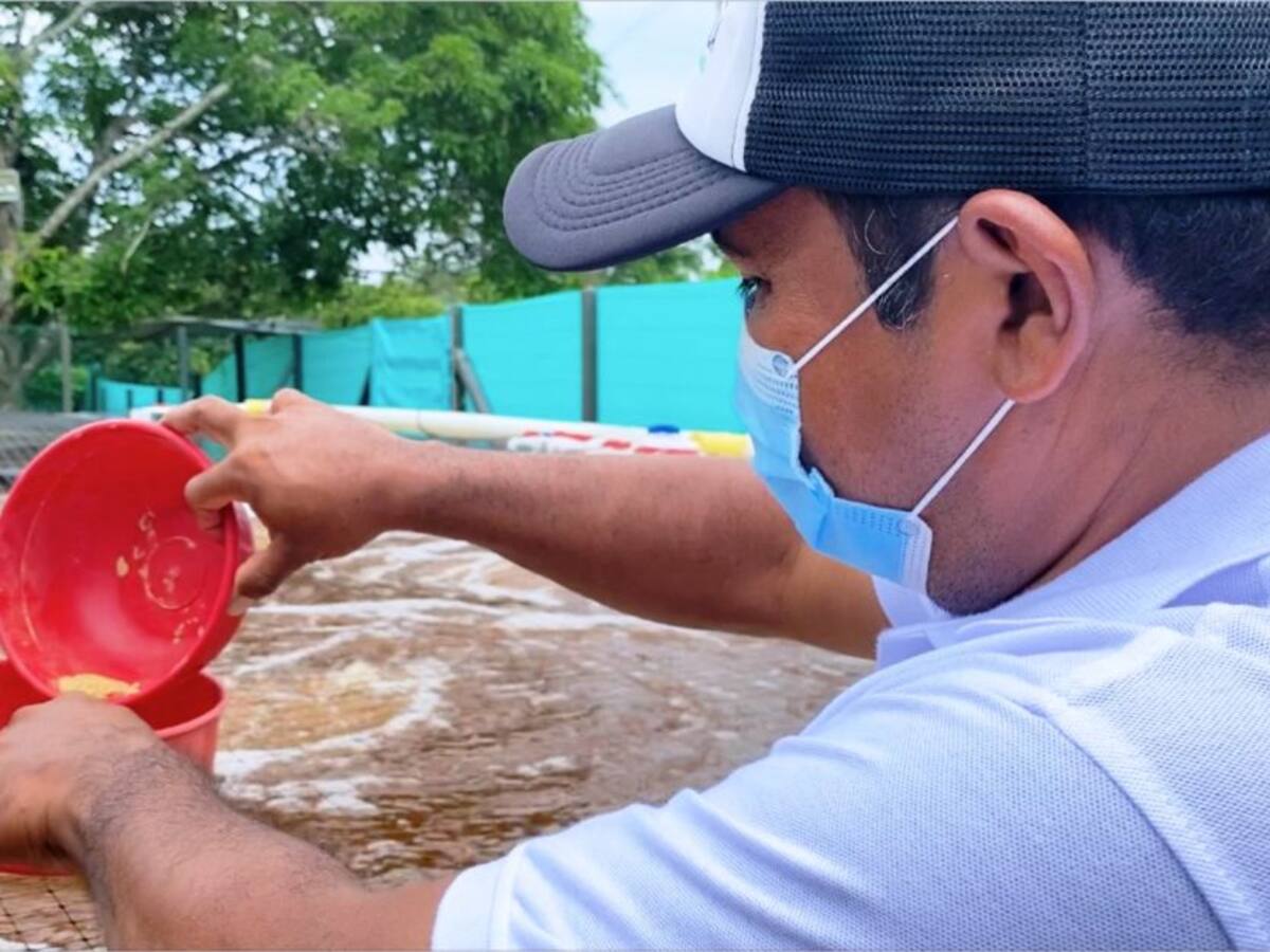 Víctimas de violencia cuentan con proyecto piscícola en los Montes de María