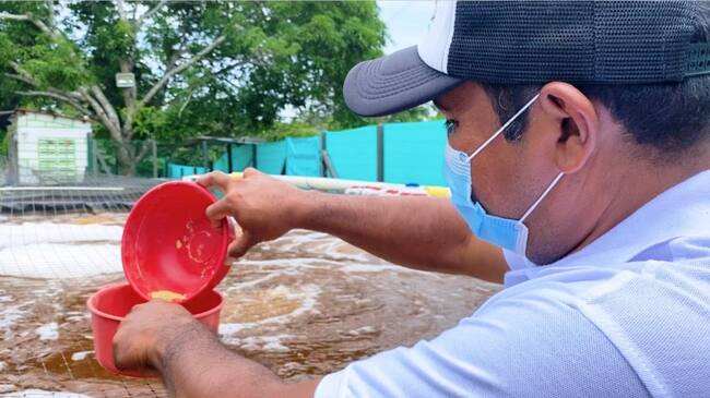 Víctimas de violencia cuentan con proyecto piscícola en los Montes de María