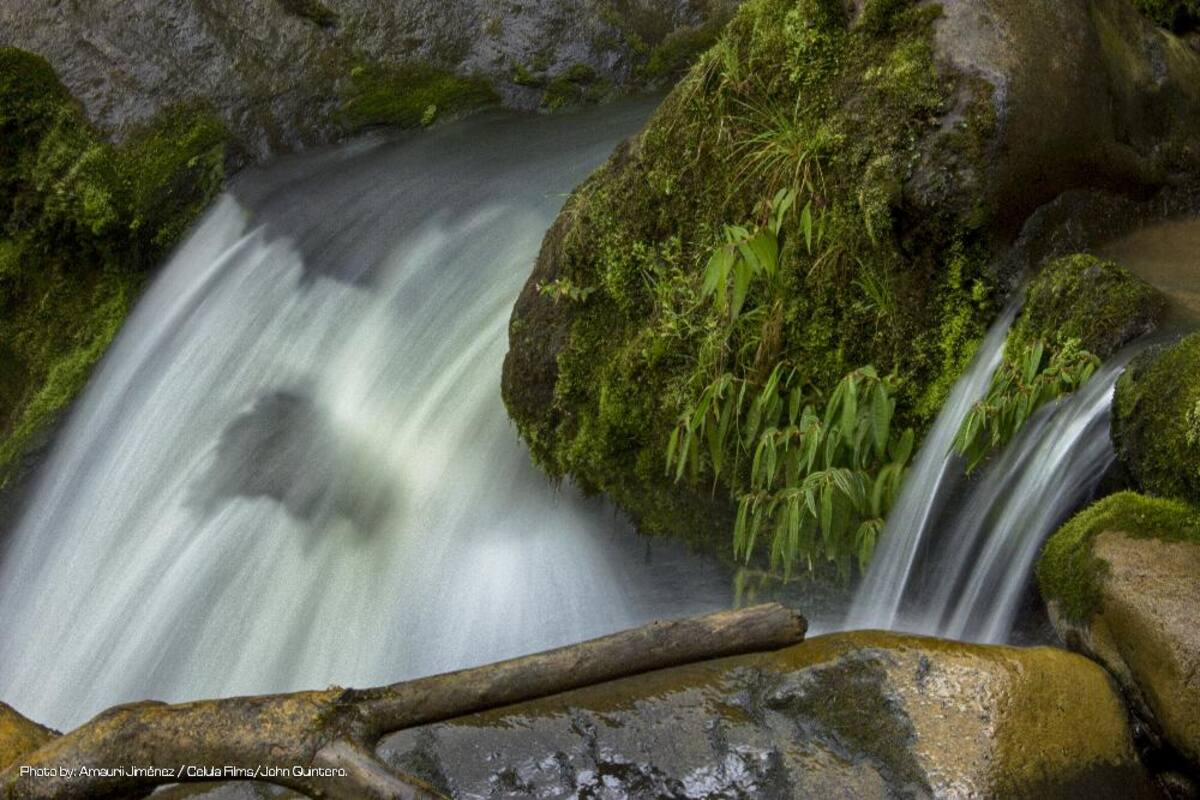 En estas piscinas termales, ubicadas en Santa Rosa de Cabal, se sentirá el placer del calor y las sales naturales; más que entretenimiento proporciona salud y bienestar.