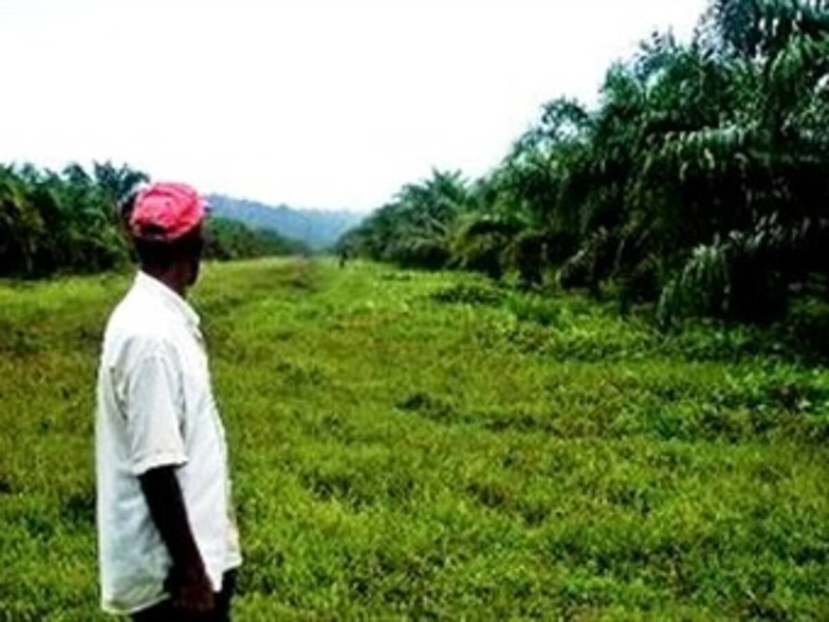 En todo el país hay privados con tierras de campesinos desplazados: Gobierno