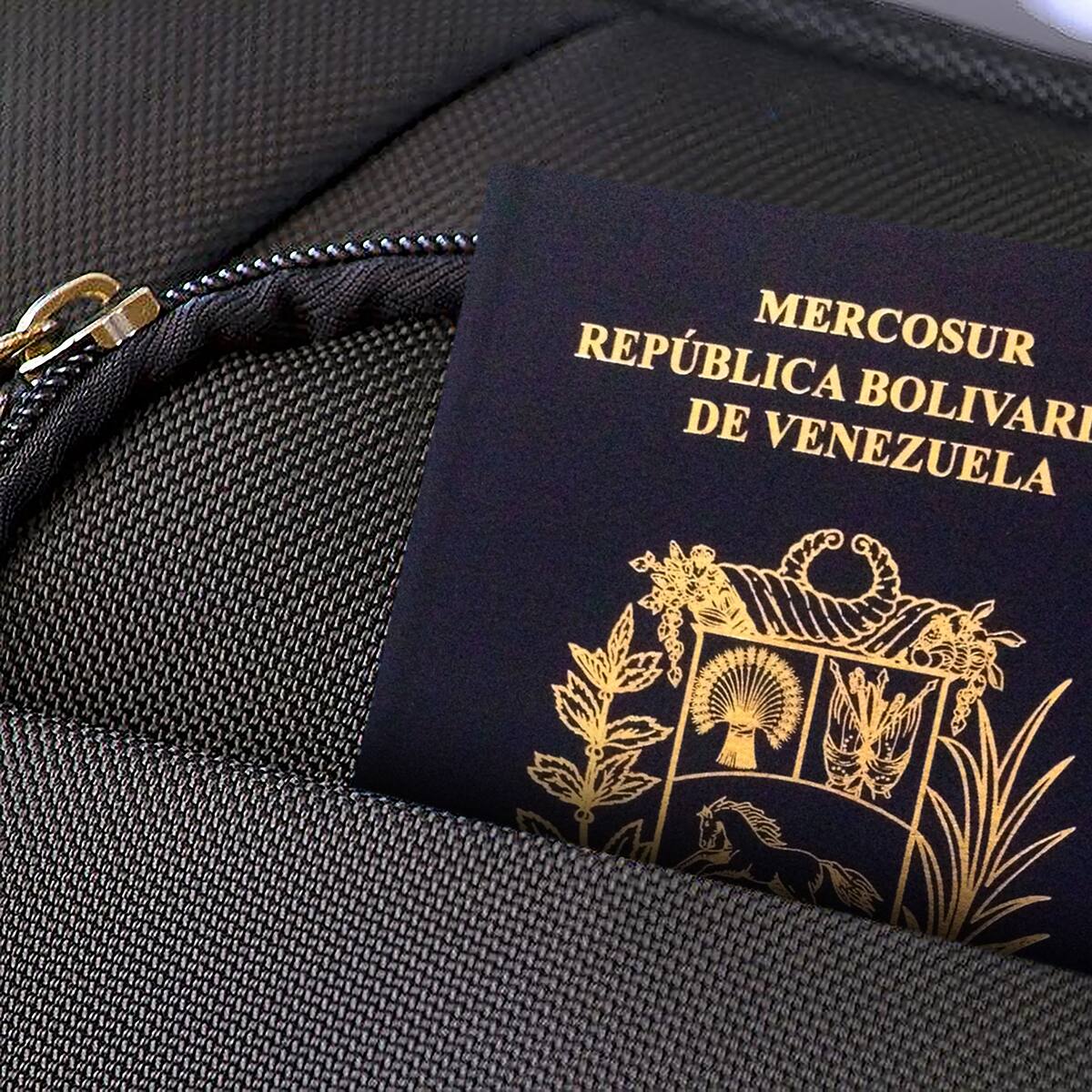 Países a los que puede ir un venezolano sin visa este 2024: ¿Es igual que en Colombia?