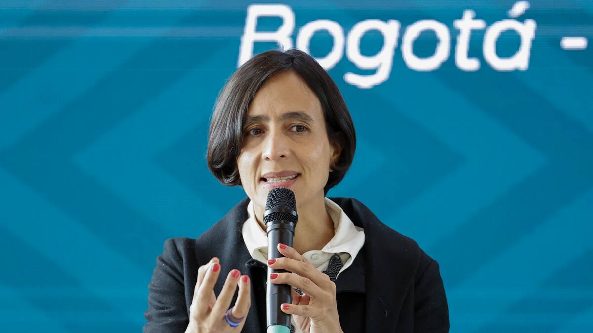 Ministra de Ambiente advierte por una posible declaratoria de desastre por agua en Bogotá