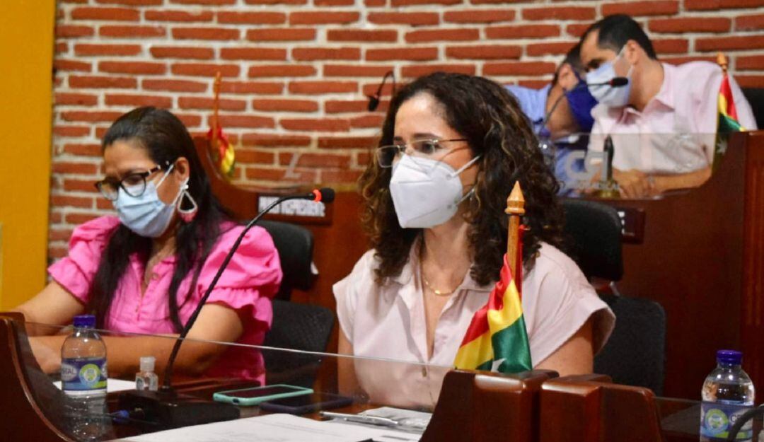 El proyecto de acuerdo fue aprobado con 19 votos a favor