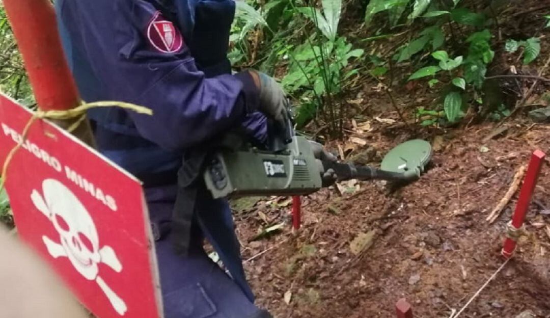 Desminado humanitario