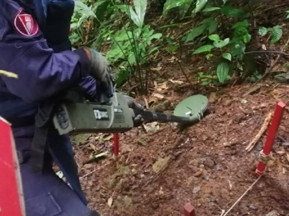 En Caldas hay 11 municipios sin sospecha de minas antipersonales
