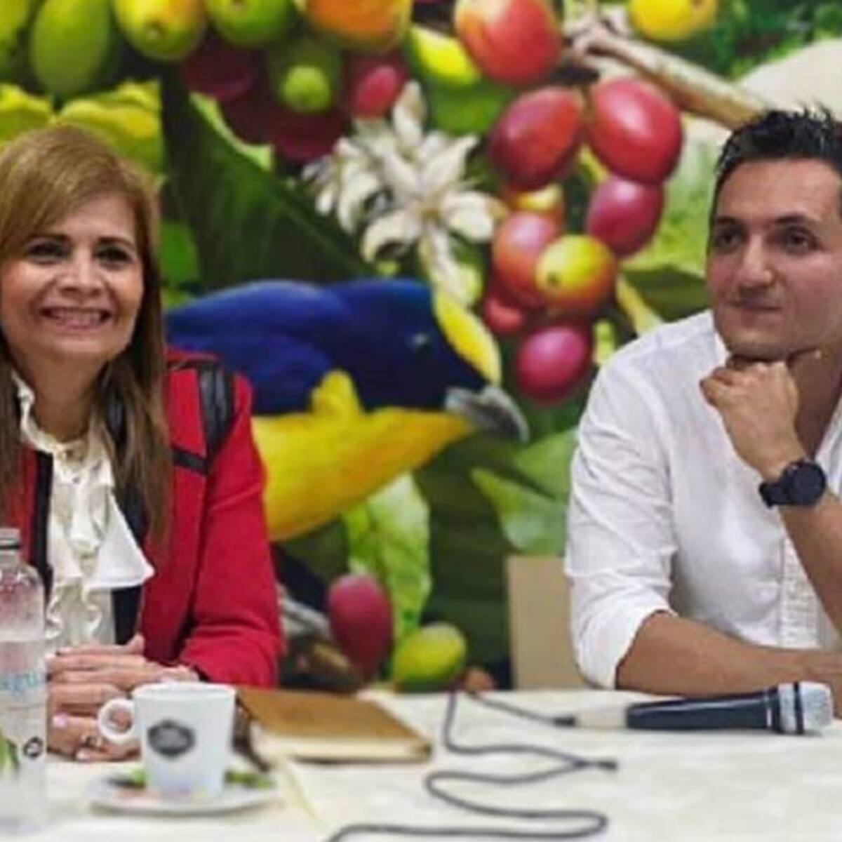 Mi minibancada liberal es con Juan Pablo Gallo: Piedad Correal