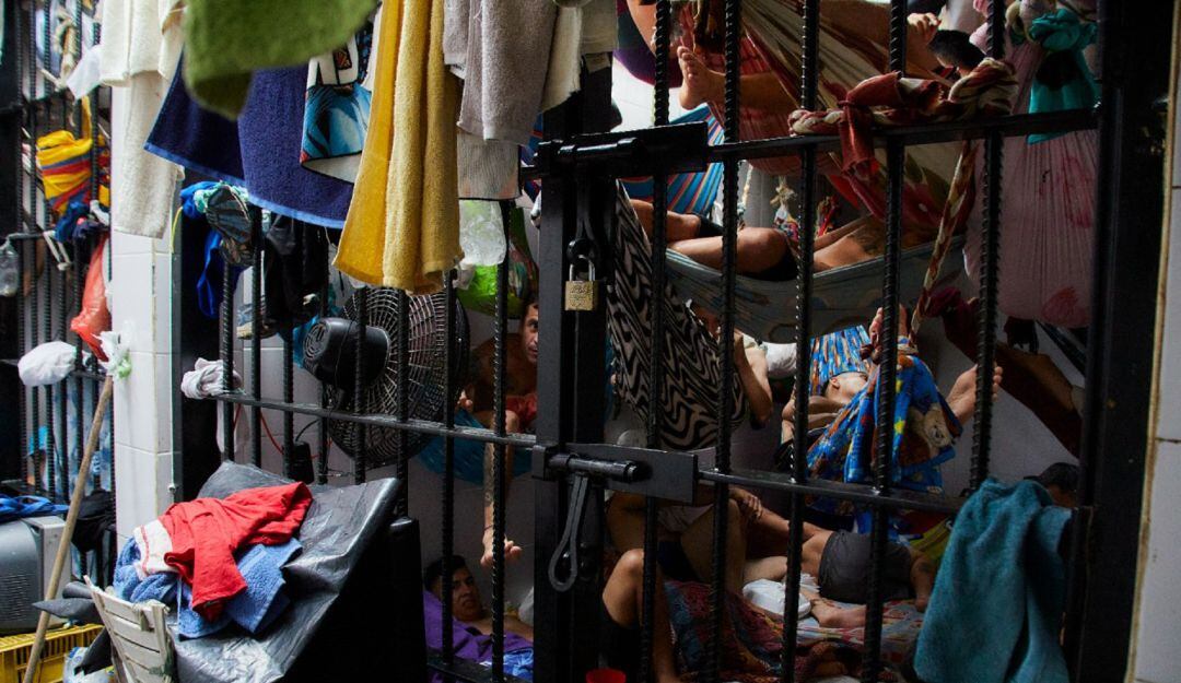 Imagen de referencia. 