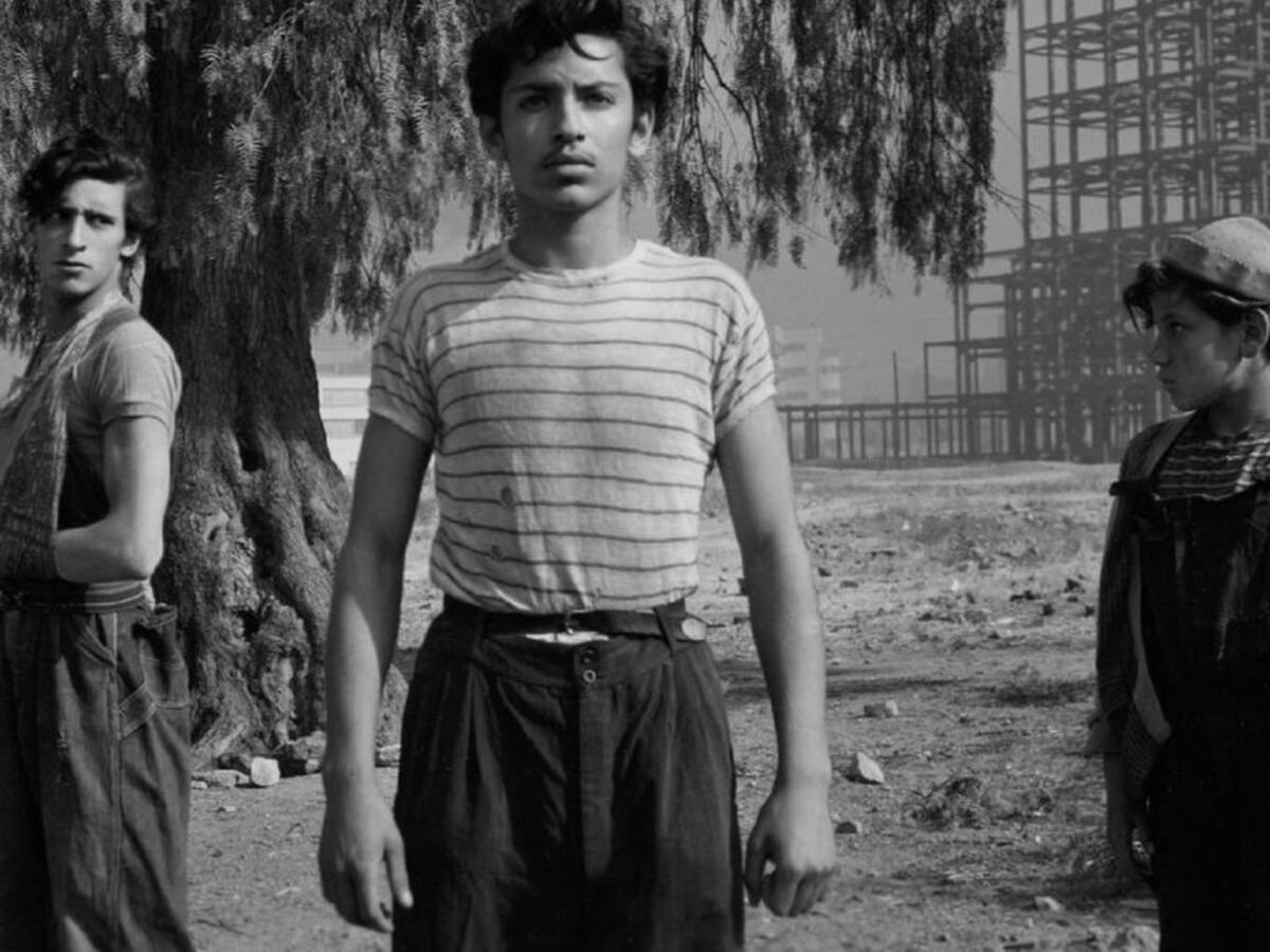 Ya está lista la programación de fin de año en la Cinemateca de Bogotá