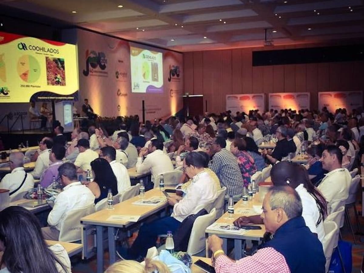 Cartagena reunirá al sector cooperativo y solidario con una agenda internacional sobre integración