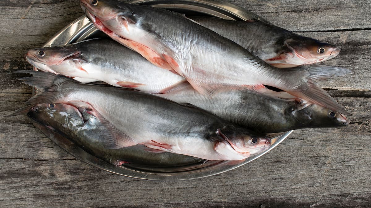 Un buen viudo de pescado, al estilo de María Ligia Ramírez, desde Honda
