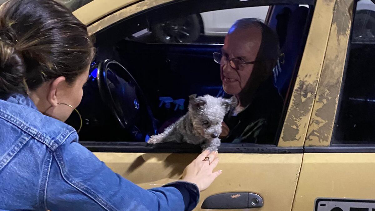 El taxista 'Don Rodrigo' y su perrita Lola, en Medellín / Foto: Twitter @guerrauribe