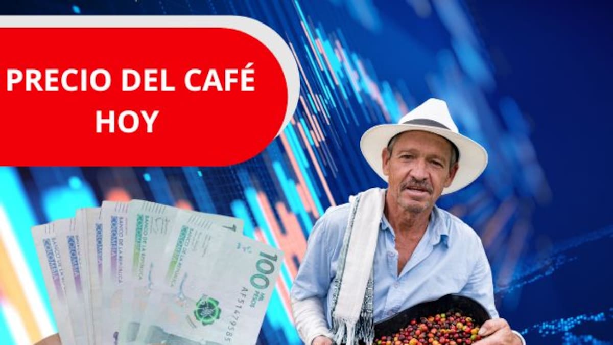 Precio del café HOY 20 de abril en Colombia según la FNC: Así inició la semana el producto nacional