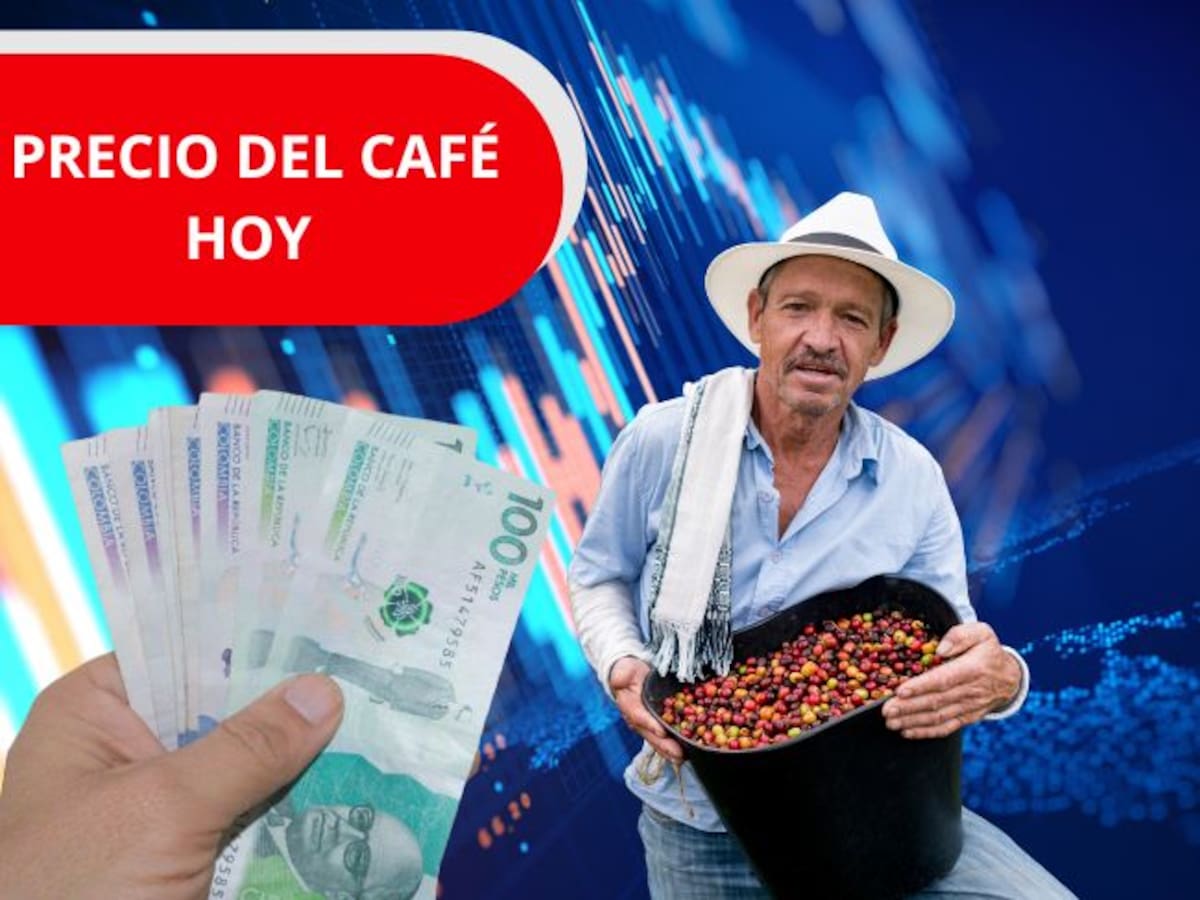 Precio del café HOY 20 de abril en Colombia según la FNC: Así inició la semana el producto nacional