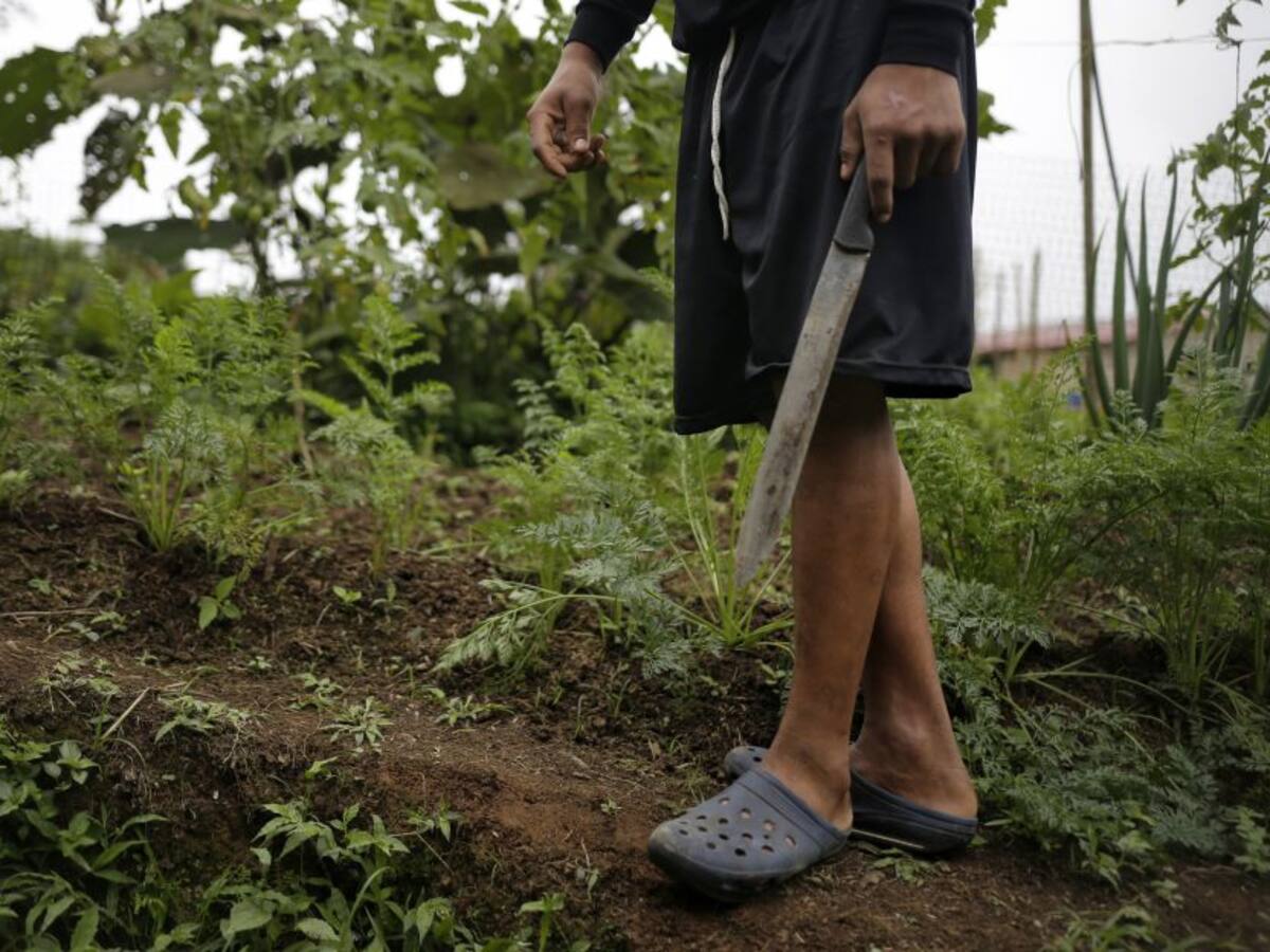 Autoridades rechazan asesinato de dos jóvenes al parecer por grupos armados