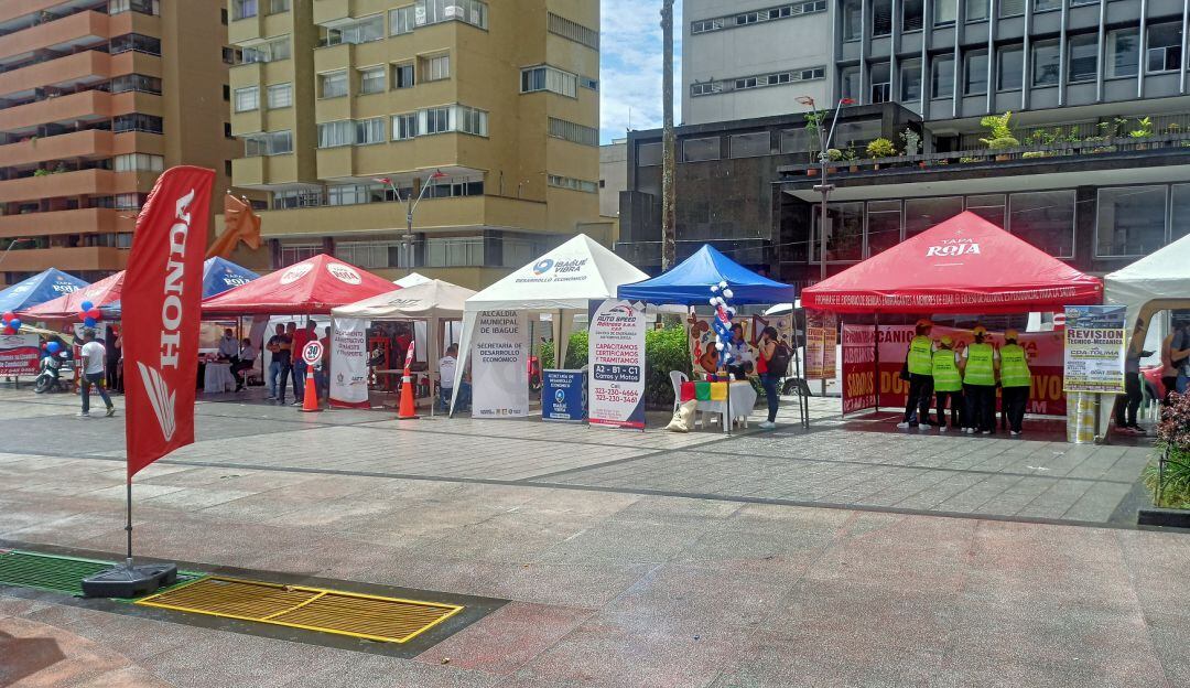 La jornada se cumplió en el parque Murillo Toro de Ibagué