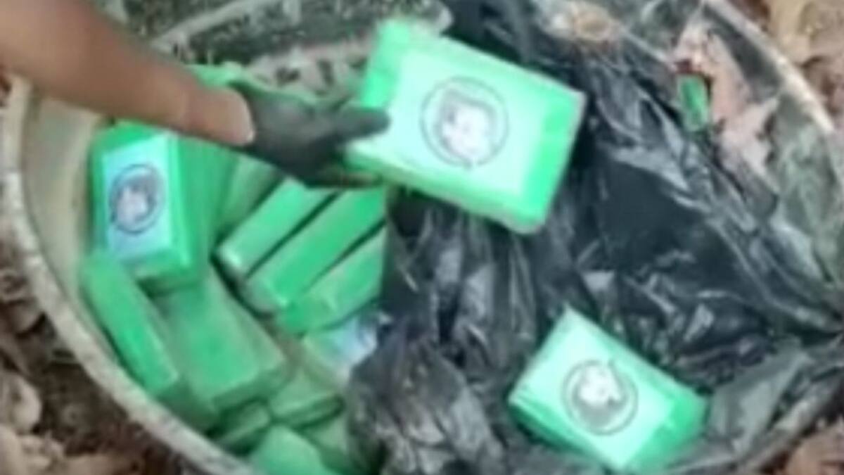 Golpe al narcotráfico: decomisan media tonelada de cocaína en Zona Bananera