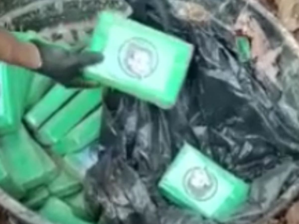 Golpe al narcotráfico: decomisan media tonelada de cocaína en Zona Bananera