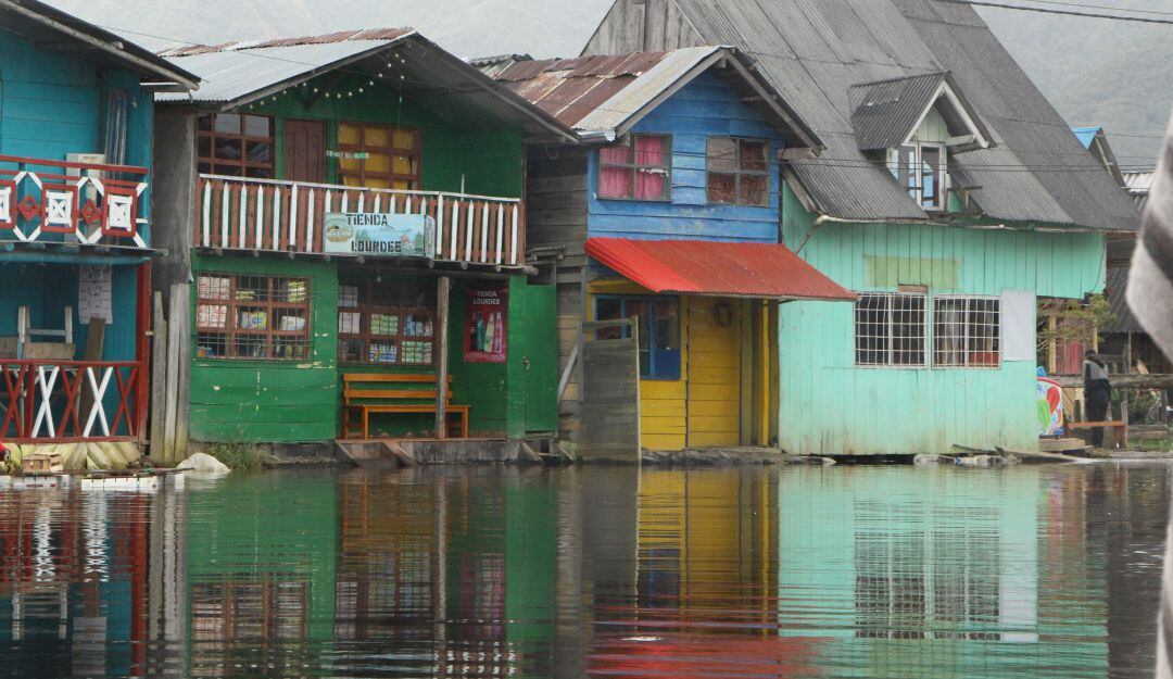 Imagen de referencia