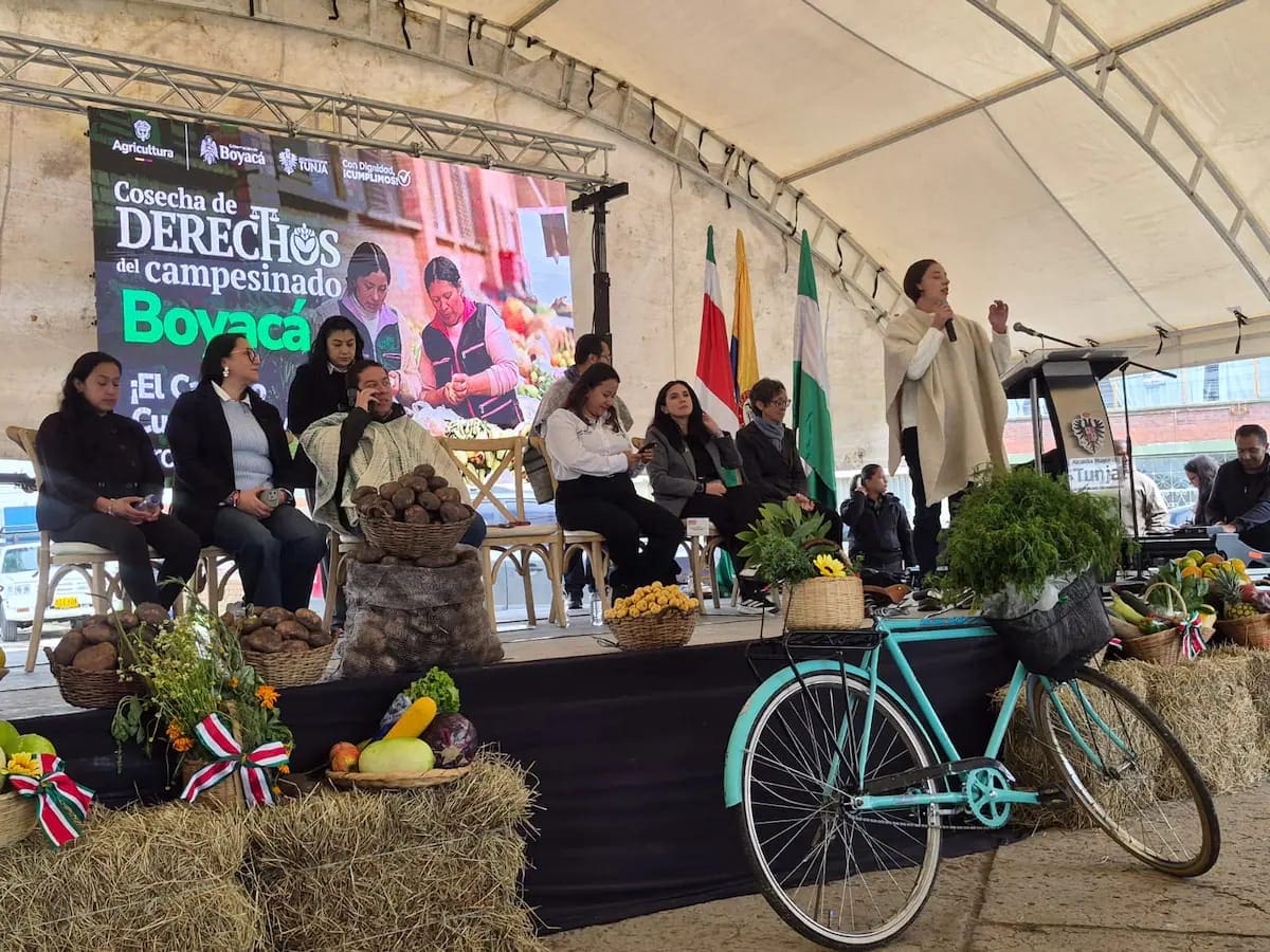 Comerciantes de la Plaza de Mercado del Norte de Tunja rechazan reubicación sin garantías