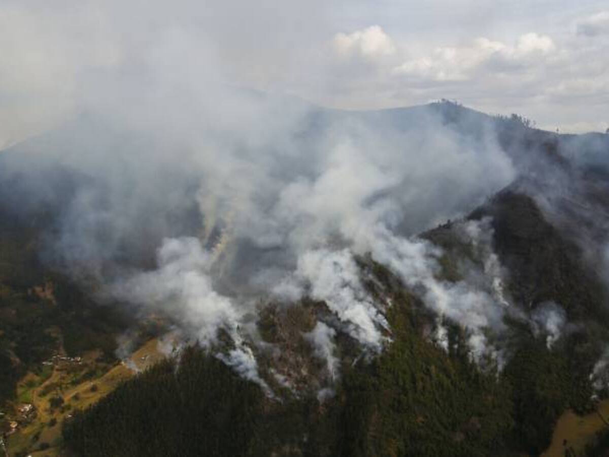 Este año van 14 incendios forestales en municipios de Cundinamarca