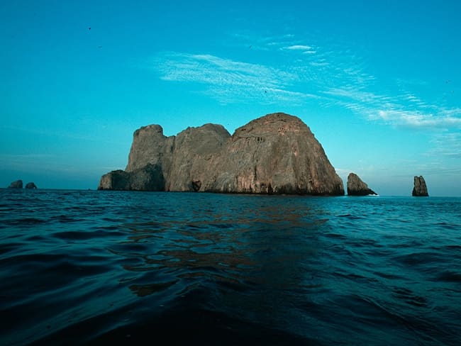 Ecoturismo en la Isla Malpelo, contemplando las maravillas marinas del Pacífico Colombiano. Foto: Fundación Malpelo